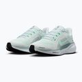 Moteriški bėgimo batai Nike Pegasus 41 white / mint foam / pure platinum / cannon 10