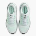 Moteriški bėgimo batai Nike Pegasus 41 white / mint foam / pure platinum / cannon 14