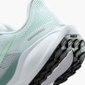 Moteriški bėgimo batai Nike Pegasus 41 white / mint foam / pure platinum / cannon 20