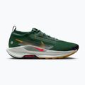 Vyriški bėgimo bateliai Nike Pegasus Trail 5 GORE-TEX eglė / ryškiai raudona / molio žalia