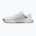 Vyriški svorio kilnojimo batai Nike Metcon 10 white/platinum tint/black 2