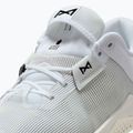 Vyriški svorio kilnojimo batai Nike Metcon 10 white/platinum tint/black 9