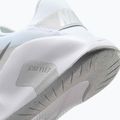Moteriški treniruočių batai Nike Flex Train white/photon dust/metallic silver 9