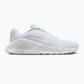 Vyriški treniruočių batai Nike Flex Train white/photon dust/white 8