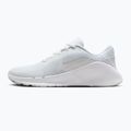 Vyriški treniruočių batai Nike Flex Train white/photon dust/white 9