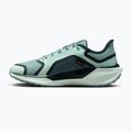 Moteriški bėgimo bateliai Nike Pegasus 41 GORE-TEX cannon/barely green/bleached turquoise 2
