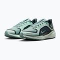 Moteriški bėgimo bateliai Nike Pegasus 41 GORE-TEX cannon/barely green/bleached turquoise 3