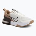 Vyriški treniruočių bateliai Nike Air Max Alpha Trainer 6 sail/baroque brown/hemp/desert dust
