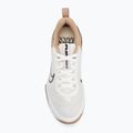 Vyriški treniruočių bateliai Nike Air Max Alpha Trainer 6 sail/baroque brown/hemp/desert dust 5