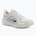 Vyriški bėgimo batai Nike Pegasus 41 GTX sail/football grey/sundial/ashen slate