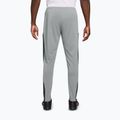 Vyriškos kelnės Nike Academy Dri-Fit light smoke grey/white/black/metallic gold 2
