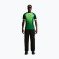Vyriški futbolo marškinėliai Nike Nigeria 2026 Stadium Home pine green/electric green/white 2