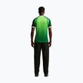Vyriški futbolo marškinėliai Nike Nigeria 2026 Stadium Home pine green/electric green/white 3