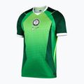 Vyriški futbolo marškinėliai Nike Nigeria 2026 Stadium Home pine green/electric green/white 7