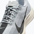 Vyriški bėgimo batai Nike Pegasus Plus pure platinum/wolf grey/sail/anthracite 9