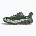 Vyriški bėgimo bateliai HOKA Speedgoat 6 fern/asphalt grey 3
