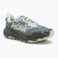 Vyrų bėgimo bateliai HOKA Speedgoat 6 GTX sea flashes/fern