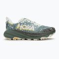 Vyrų bėgimo bateliai HOKA Speedgoat 6 GTX sea flashes/fern 2