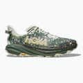Vyrų bėgimo bateliai HOKA Speedgoat 6 GTX sea flashes/fern 2