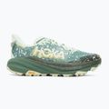 Vyriški bėgimo bateliai HOKA Speedgoat 6 GTX sa glass/fern 2