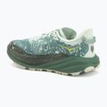 Vyriški bėgimo bateliai HOKA Speedgoat 6 GTX sa glass/fern 3