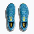 Vyriški bėgimo bateliai HOKA Clifton 10 alpine blue/foggy night 8