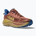 Vyriški bėgimo bateliai HOKA Challenger 8 Wide maple/cardamon 8