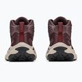 Vyriški žygio batai HOKA Transport Hike GTX deep mauve/smoky quartz 6
