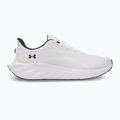 Vyriški bėgimo batai Under Armour Ascend white/black/distant gray