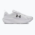 Vyriški bėgimo bateliai Under Armour Assert 11 balti/juodi/tolimos pilkos spalvos