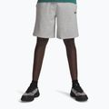 Vyriški treniruočių šortai Under Armour Rival LW mod gray light heather/black