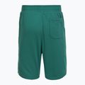 Vyriški treniruočių šortai Under Armour Rival LW Graphic rack green/black 6