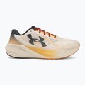 Vyriški bėgimo batai Under Armour Velociti Pace stone/terra gold/anthracite 2