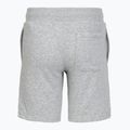 Vaikiški šortai Under Armour Rival LW Shorts mod gray light heather/black 2