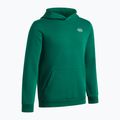 Vaikiškas džemperis Under Armour B Rival Fleece Hoodie campus ivy/white 3