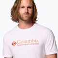 Vyriški marškinėliai Columbia CSC Basic logo white/csc retro logo 5