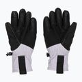 Moteriškos žygio pirštinės Columbia PowBound lavender pearl/shale purple/black 3