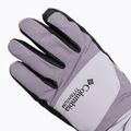 Moteriškos žygio pirštinės Columbia PowBound lavender pearl/shale purple/black 4