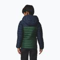 Vaikiška striukė Columbia Powder Lite II Hooded Rain Forest/Collegiate Navy 3