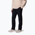Vyriškos trekinginės kelnės Columbia ROC Tech Chino black 4