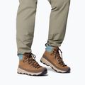 Vyriški batai Columbia Newton Alpine PT light brown/metal 8