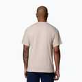 Vyriški marškinėliai Columbia CSC Seasonal Graphic dark stone/heavenly stacked gem 3