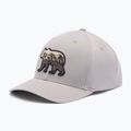 Kepurė su snapeliu Columbia Lost Lager 3D Stretch Snapback flint grey/scenic stroll