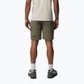 Vyriški žygio šortai Columbia Silver Ridge Elite stone green 3