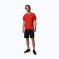 Vyriškos žygio šortai Columbia Cosmiques Pro Nylon black 2
