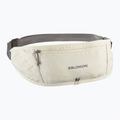 Bėgimo diržas Salomon Pulse Sling icicle / castlerock