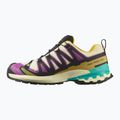 Moteriški bėgimo bateliai Salomon XA PRO 3D V9 GTX transparent yellow/black/waterfall 2