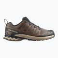 Vyriški bėgimo bateliai Salomon XA Pro 3D V9 falcon/desert tan/black 2