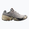 Vyriški bėgimo bateliai Salomon Speedcross 6 GTX gull/white pepper/black 2