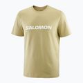 Vyriški marškinėliai Salomon Logo pilkai žali 3